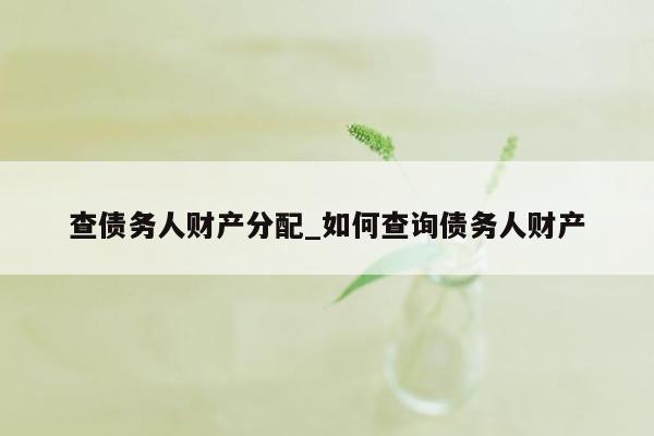 查债务人财产分配_如何查询债务人财产