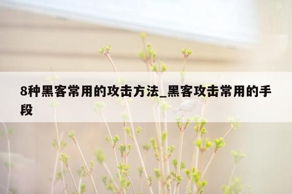 8种黑客常用的攻击方法_黑客攻击常用的手段