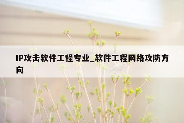 IP攻击软件工程专业_软件工程网络攻防方向