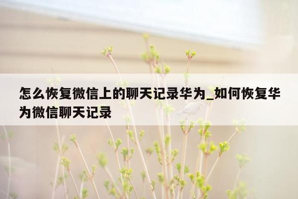 怎么恢复微信上的聊天记录华为_如何恢复华为微信聊天记录