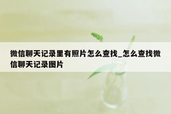 微信聊天记录里有照片怎么查找_怎么查找微信聊天记录图片