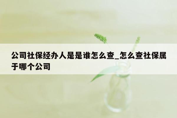 公司社保经办人是是谁怎么查_怎么查社保属于哪个公司