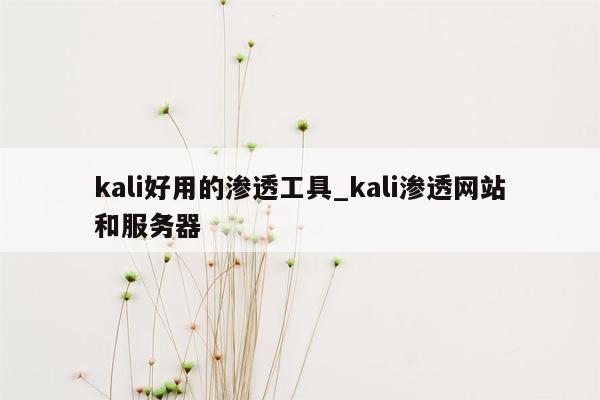 kali好用的渗透工具_kali渗透网站和服务器