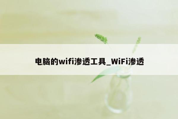 电脑的wifi渗透工具_WiFi渗透