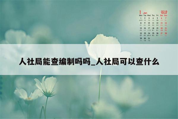 人社局能查编制吗吗_人社局可以查什么