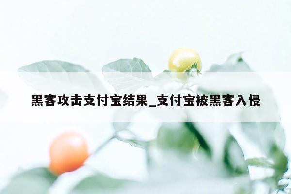 黑客攻击支付宝结果_支付宝被黑客入侵