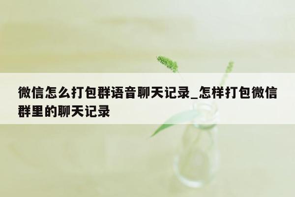 微信怎么打包群语音聊天记录_怎样打包微信群里的聊天记录