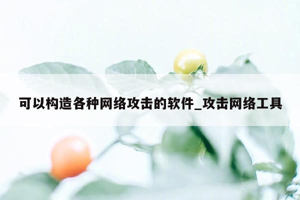 可以构造各种网络攻击的软件_攻击网络工具