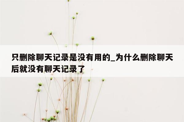 只删除聊天记录是没有用的_为什么删除聊天后就没有聊天记录了