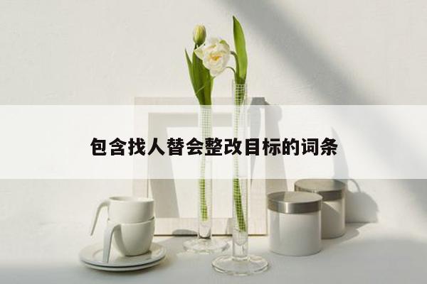 包含找人替会整改目标的词条