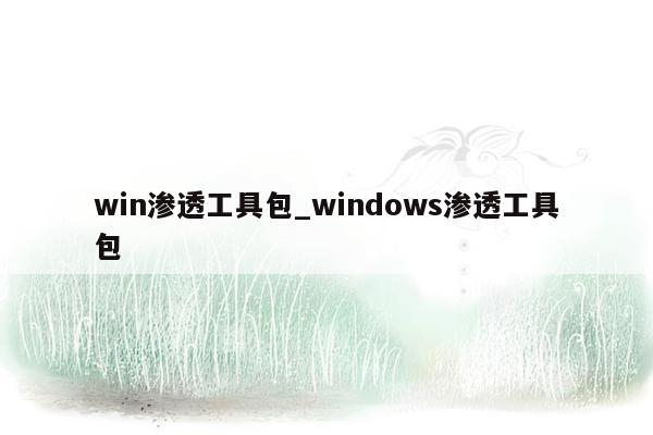 win渗透工具包_windows渗透工具包