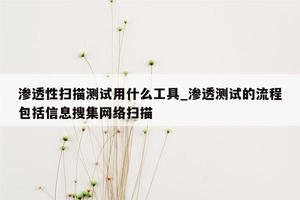 渗透性扫描测试用什么工具_渗透测试的流程包括信息搜集网络扫描