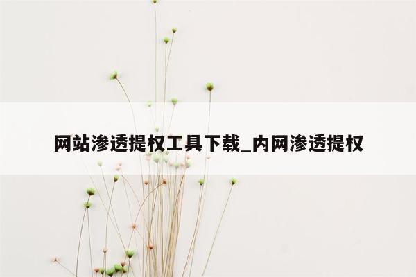 网站渗透提权工具下载_内网渗透提权