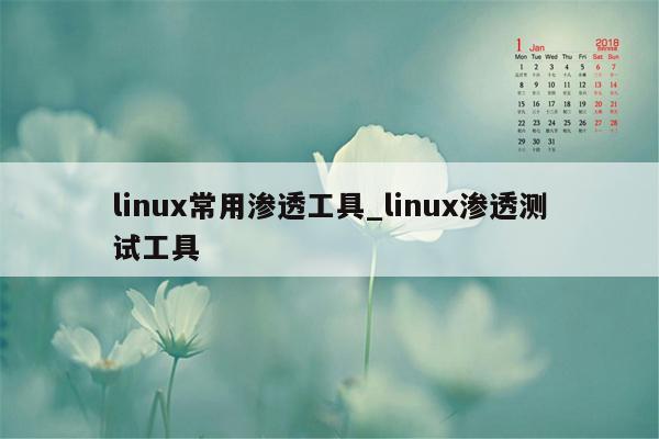 linux常用渗透工具_linux渗透测试工具