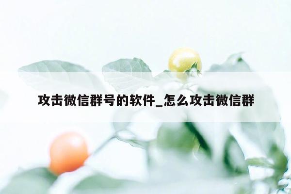 攻击微信群号的软件_怎么攻击微信群