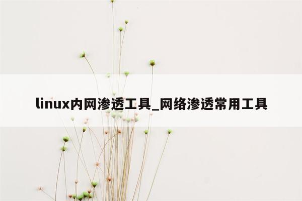 linux内网渗透工具_网络渗透常用工具