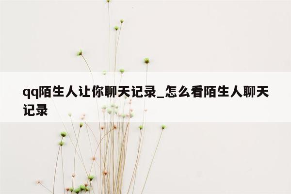 qq陌生人让你聊天记录_怎么看陌生人聊天记录