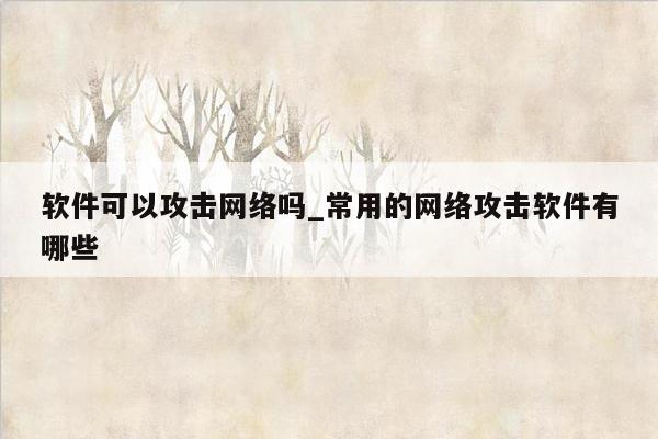 软件可以攻击网络吗_常用的网络攻击软件有哪些