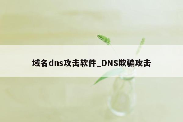 域名dns攻击软件_DNS欺骗攻击