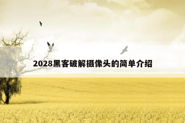 2028黑客破解摄像头的简单介绍