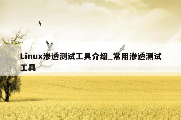 Linux渗透测试工具介绍_常用渗透测试工具