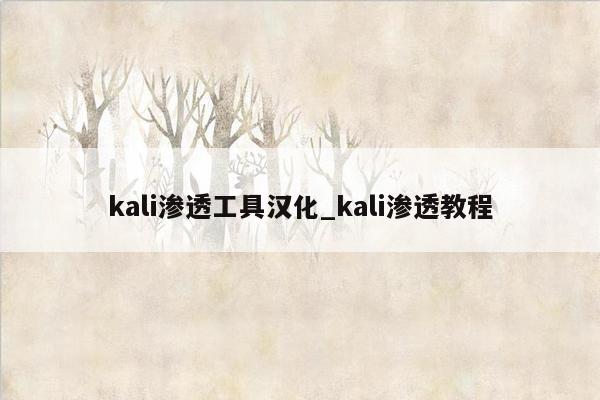 kali渗透工具汉化_kali渗透教程