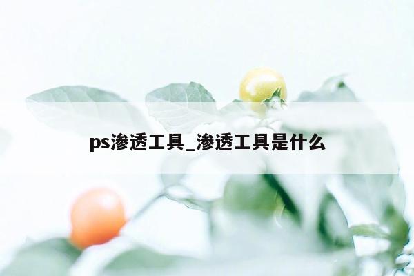 ps渗透工具_渗透工具是什么