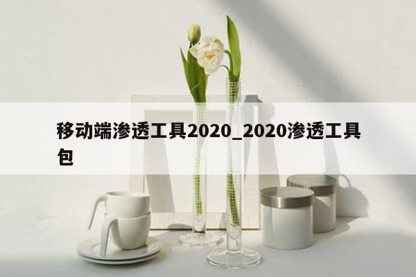 移动端渗透工具2020_2020渗透工具包