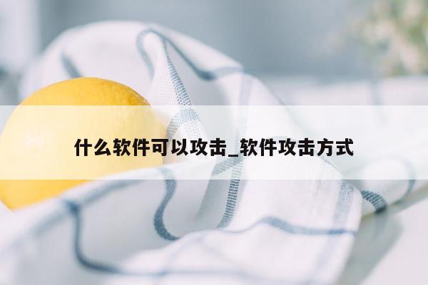 什么软件可以攻击_软件攻击方式