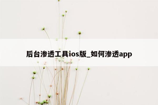 后台渗透工具ios版_如何渗透app