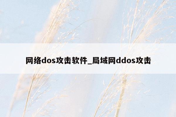 网络dos攻击软件_局域网ddos攻击