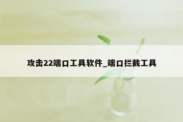 攻击22端口工具软件_端口拦截工具