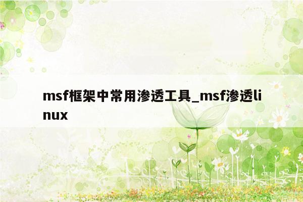 msf框架中常用渗透工具_msf渗透linux