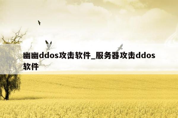 幽幽ddos攻击软件_服务器攻击ddos软件