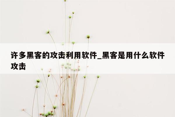 许多黑客的攻击利用软件_黑客是用什么软件攻击