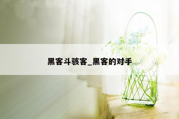 黑客斗骇客_黑客的对手