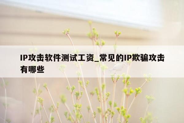 IP攻击软件测试工资_常见的IP欺骗攻击有哪些