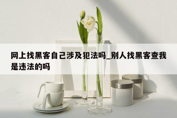 网上找黑客自己涉及犯法吗_别人找黑客查我是违法的吗