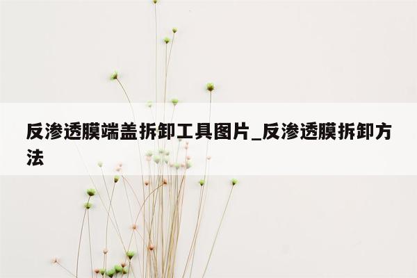 反渗透膜端盖拆卸工具图片_反渗透膜拆卸方法