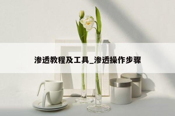 渗透教程及工具_渗透操作步骤