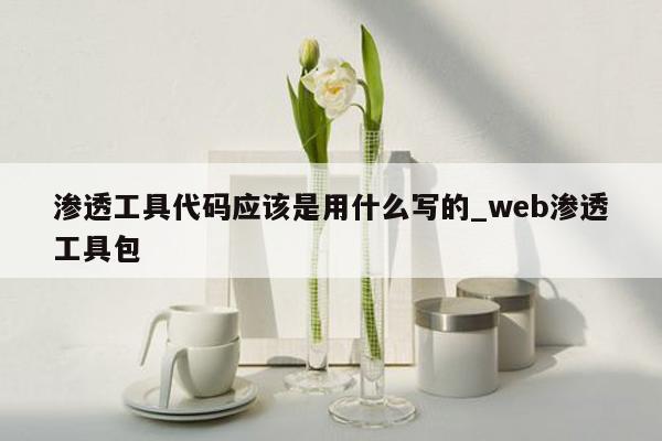 渗透工具代码应该是用什么写的_web渗透工具包