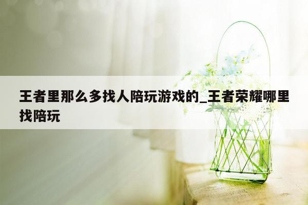 王者里那么多找人陪玩游戏的_王者荣耀哪里找陪玩