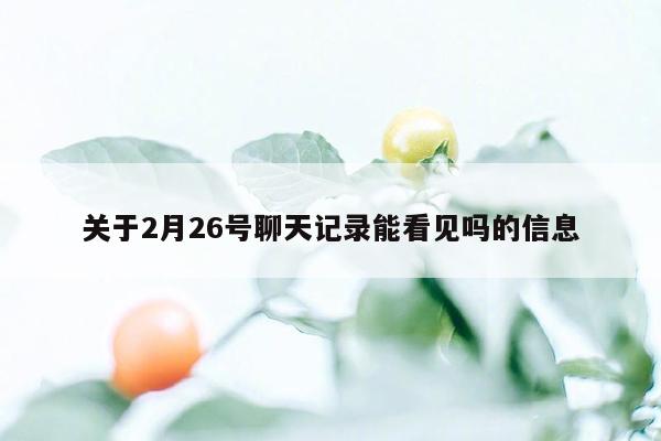 关于2月26号聊天记录能看见吗的信息