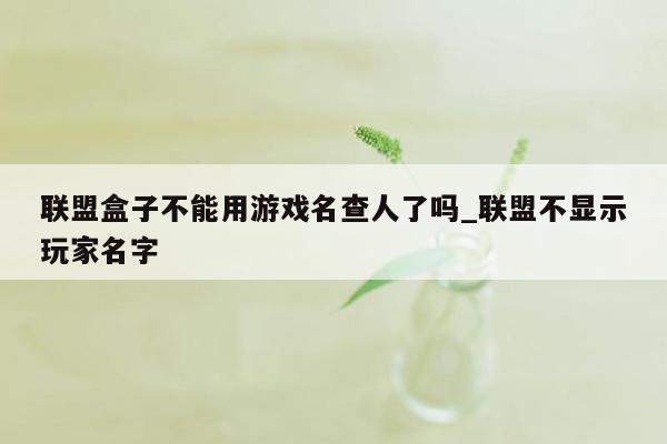 联盟盒子不能用游戏名查人了吗_联盟不显示玩家名字