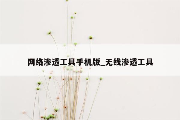 网络渗透工具手机版_无线渗透工具