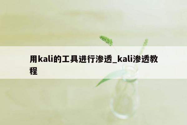 用kali的工具进行渗透_kali渗透教程