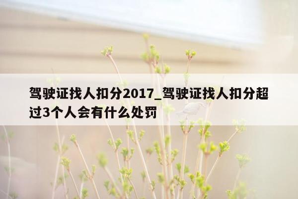 驾驶证找人扣分2017_驾驶证找人扣分超过3个人会有什么处罚