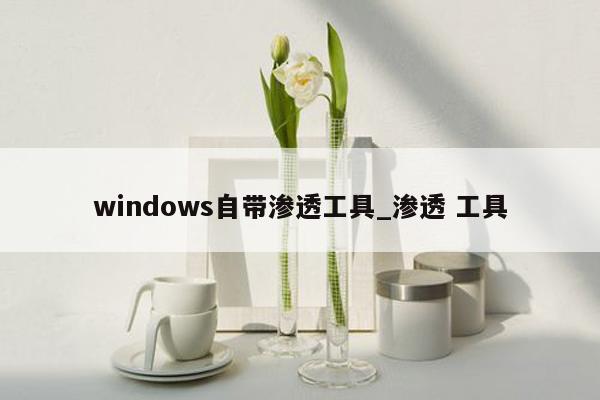 windows自带渗透工具_渗透 工具