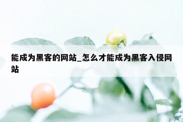 能成为黑客的网站_怎么才能成为黑客入侵网站