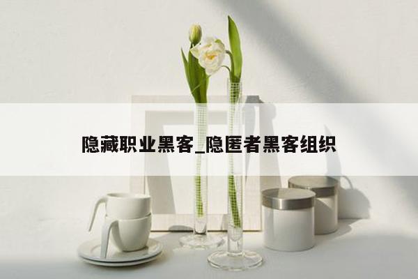 隐藏职业黑客_隐匿者黑客组织